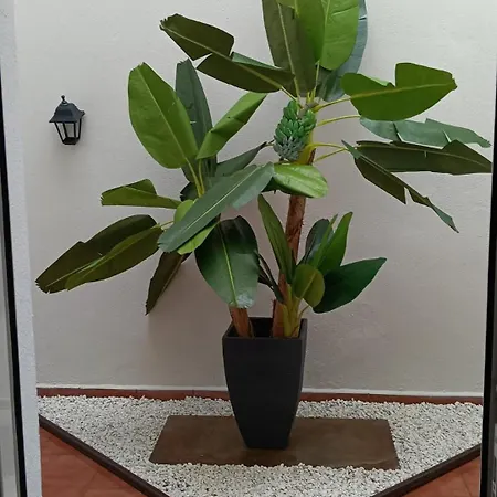 Appartement Nana's Dream *